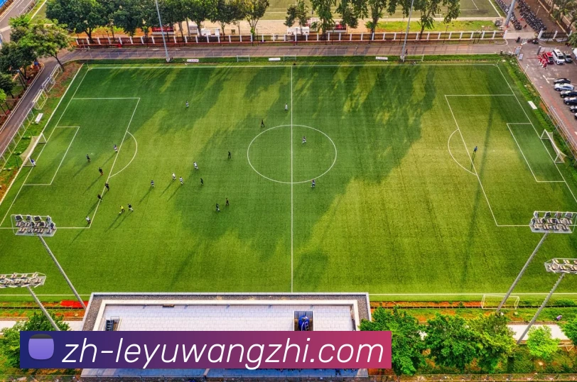 乐鱼登录入口平台生态图